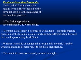 Persistent OssiculumTerminale:
�Also called Bergman ossicle,
results from failure of fusion of the
terminal ossicle to the remainder of
the odontoid process.
�The fusion typically is
accomplished by 12 years of age.
� Bergman ossicle may be confused with a type 1 odontoid fracture
(avulsion of the terminal ossicle), and absolute differentiation between
the two diagnoses may be difficult.
�Whether traumatic or congenital in origin, this anomaly is stable
when isolated and of relatively little clinical significance.
�The odontoid process is usually normal in height.
 