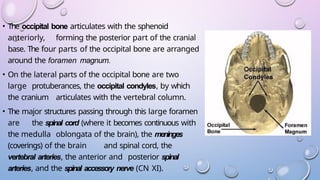 Comprehensive Radiological Anatomy of the Skull Base: CT and MRI ...