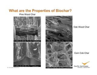 What are the Properties of Biochar?
                        Pine Wood Char




                                         Oak Wood Char




                                         Corn Cob Char




JE Amonette 04Mar2010
 