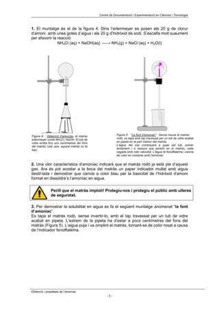 Centre de Documentació i Experimentació en Ciències i Tecnologia



1. El muntatge és el de la figura 4. Dins l’erlenmeyer es posen els 20 g de clorur
d’amoni amb unes gotes d’aigua i els 20 g d’hidròxid de sodi. S’escalfa molt suaument
per afavorir la reacció:
                NH4Cl (aq) + NaOH(aq) → NH3(g) + NaCl (aq) + H2O(l)




Figura 4: Obtenció d’amoníac: el matràs                  Figura 5: “La font d’amoníac”: Sense moure el matràs
erlenmeyer conté NH4Cl i NaOH. El tub de                 rodó, es tapa amb tap travessat per un tub de vidre acabat
vidre arriba fins uns centímetres del fons               en pipeta en la part interior del matràs.
del matràs rodò (ara, aquest matràs no té                L’aigua del vas començarà a pujar pel tub, primer
tap).                                                    lentament i a mesura que penetri en el matràs, cada
                                                         vegada amb més velocitat. L’aigua té fenolftaleïna i canvia
                                                         de color en contacte amb l’amoníac


2. Una olor característica d’amoníac indicarà que el matràs rodó ja està ple d’aquest
gas. Ara és pot acostar a la boca del matràs un paper indicador mullat amb aigua
destil·lada i demostrar que canvia a color blau per la basicitat de l’hidròxid d’amoni
format en dissoldre’s l’amoníac en aigua.

              Perill que el matràs imploti! Protegiu-vos i protegiu el públic amb ulleres
              de seguretat.

3. Per demostrar la solubilitat en aigua es fa el següent muntatge anomenat “la font
d’amoníac”.
Es tapa el matràs rodó, sense invertir-lo, amb el tap travessat per un tub de vidre
acabat en pipeta. L’extrem de la pipeta ha d’estar a pocs centímetres del fons del
matràs (Figura 5). L’aigua puja i va omplint el matràs, tornant-se de color rosat a causa
de l’indicador fenolftaleïna.




Obtenció i propietats de l’amoníac
                                                  -5-
 