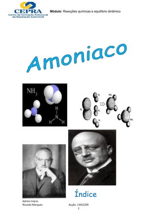 Módulo: Reacções químicas e equilíbrio dinâmico




                                  Índice
Adrien Inácio
Ricardo Marques               Acção: 13912/09
                                      1
 