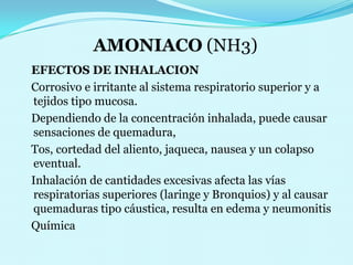 AMONIACO (NH3)EFECTOS DE INHALACION   Corrosivo e irritante al sistema respiratorio superior y a tejidos tipo mucosa.   Dependiendo de la concentración inhalada, puede causar sensaciones de quemadura,   Tos, cortedad del aliento, jaqueca, nausea y un colapso eventual.   Inhalación de cantidades excesivas afecta las vías respiratorias superiores (laringe y Bronquios) y al causar quemaduras tipo cáustica, resulta en edema y neumonitis   Química