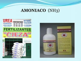 AMONIACO  (NH3)