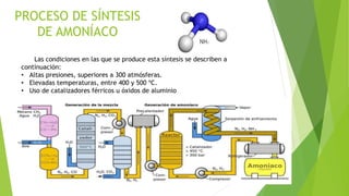 PROCESO DE SÍNTESIS
DE AMONÍACO
Las condiciones en las que se produce esta síntesis se describen a
continuación:
• Altas presiones, superiores a 300 atmósferas.
• Elevadas temperaturas, entre 400 y 500 ºC.
• Uso de catalizadores férricos u óxidos de aluminio
 