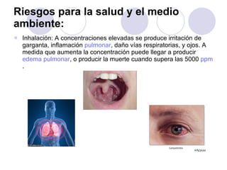 Riesgos para la salud y el medio ambiente: Inhalación: A concentraciones elevadas se produce irritación de garganta, inflamación  pulmonar , daño vías respiratorias, y ojos. A medida que aumenta la concentración puede llegar a producir  edema pulmonar , o producir la muerte cuando supera las 5000  ppm . 