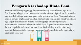 Pengaruh terhadap Biota Laut
Konsentrasi Nitrat yang tinggi dapat mendukung pertumbuhan alga atau
fitoplankton sebagai komponen dasar rantai makanan di perairan. Secara tidak
langsung hal ini juga akan mempengaruhi kelimpahan ikan. Namun demikian,
apabila kondisi lingkungan yang lain mendukung, konsentrasi nitrat yang tinggi
juga dapat menimbulkan potensi blooming alga. Blooming ini dapat
menyebabkan penurunan konsentrasi oksigen di perairan secara drastis dan
dapat menyebabkan kematian masal ikan. Terlebih lagi apabila blooming
tersebut didominasi oleh spesies yang menghasilkan toksin maka dampaknya
akan lebih besar lagi
 
