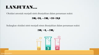 LANJUTAN...
Oksidasi amoniak menjadi nitrit ditunjukkan dalam persamaan reaksi:
2 NH3 + 3 O2 → 2 NO2
 –
 + 2 H + 2 H2O
Sedangkan oksidasi nitrit menjadi nitrat ditunjukkan dalam persamaan reaksi:
2 NO2 –
+ O2
 
→ 2 NO3
–‑
 