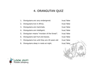 LOOK OUT!
Theatre Company
4. ORANGUTAN QUIZ
1. Orangutans are very endangered. true/ false
2. Orangutans live in Africa. true/ false
3. Orangutans are mammals. true/ false
4. Orangutans are intelligent. true/ false
5. Orangutan means “monster of the forest”. true/ false
6. Orangutans eat fruit and leaves. true/ false
7. Orangutans live until they are 20 years old true/ false
8. Orangutans sleep in nests at night. true/ false
 