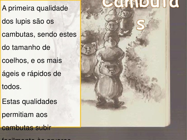 Resumo Do Livro A Montanha Da água Lilás