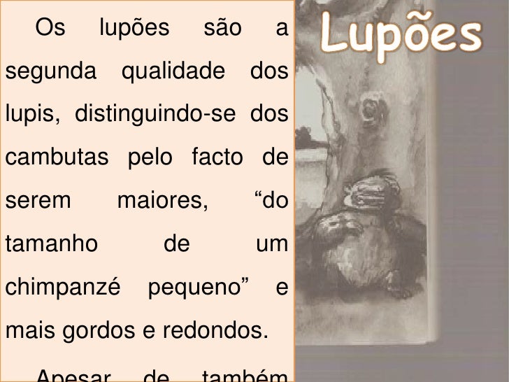 Resumo Do Livro A Montanha Da água Lilás