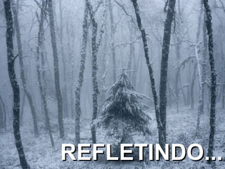 REFLETINDO... 