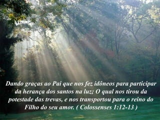 Dando graças ao Pai que nos fez idôneos para participar da herança dos santos na luz; O qual nos tirou da potestade das trevas, e nos transportou para o reino do Filho do seu amor. ( Colossenses 1:12-13 )