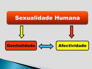Sexualidade HumanaGenitalidadeAfectividade