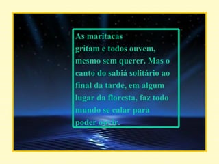 As maritacas gritam e todos ouvem, mesmo sem querer. Mas o canto do sabiá solitário ao final da tarde, em algum  lugar da floresta, faz todo mundo se calar para poder ouvir. 