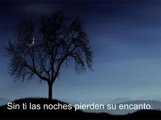 Sin ti las noches pierden su encanto.  