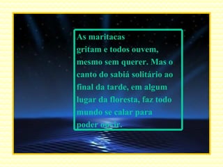 As maritacas gritam e todos ouvem, mesmo sem querer. Mas o canto do sabiá solitário ao final da tarde, em algum  lugar da floresta, faz todo mundo se calar para poder ouvir. 