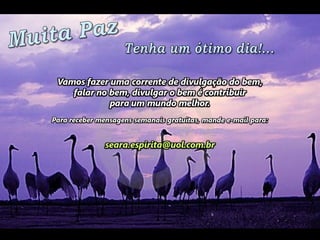 +Amor.um pedido dosanimais