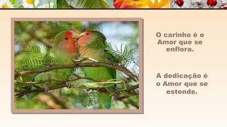 A m o r -  João de Brito/Chico Xavier