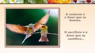 A m o r -  João de Brito/Chico Xavier