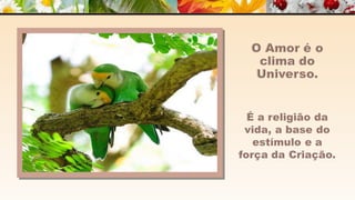 A m o r -  João de Brito/Chico Xavier