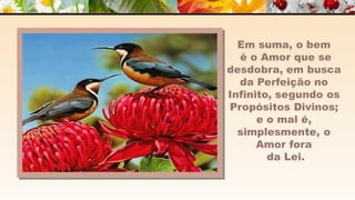 A m o r -  João de Brito/Chico Xavier