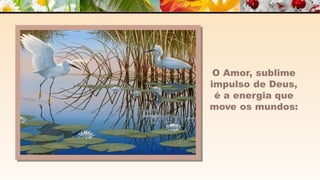 A m o r -  João de Brito/Chico Xavier