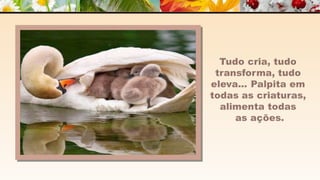 A m o r -  João de Brito/Chico Xavier