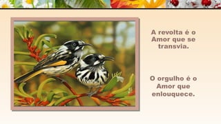 A m o r -  João de Brito/Chico Xavier