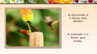 A m o r -  João de Brito/Chico Xavier