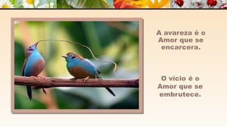 A m o r -  João de Brito/Chico Xavier