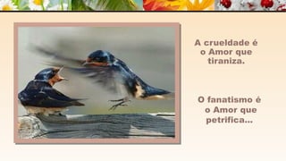 A m o r -  João de Brito/Chico Xavier