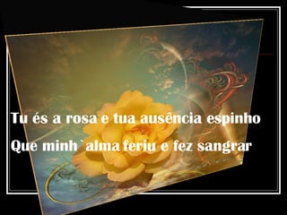 Tu és a rosa e tua ausência espinho Que minh`alma feriu e fez sangrar 