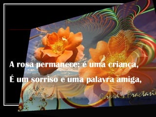A rosa permanece: é uma criança, É um sorriso e uma palavra amiga, 