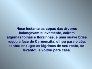 Nese instante as copas das árvores  balançavam suavemente, cairam  algumas folhas e florzinhas, e uma suave brisa roçou a face de Carmenzita, olhou para o céu, tentou enxugar as lágrimas de seu rosto, se levantou e voltou para casa. 