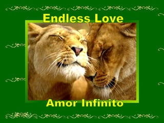 Amor Infinito Endless Love 