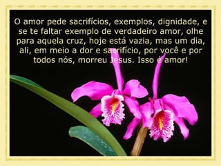 O amor pede sacrifícios, exemplos, dignidade, e se te faltar exemplo de verdadeiro amor, olhe para aquela cruz, hoje está vazia, mas um dia, ali, em meio a dor e sacrifício, por você e por todos nós, morreu Jesus. Isso é amor! 