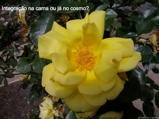 Integração na cama ou já no cosmo? 