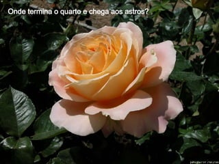 Onde termina o quarto e chega aos astros? 