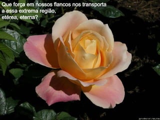 Que força em nossos flancos nos transporta a essa extrema região,  etérea, eterna?  