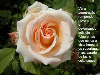 Vai a penetração rompendo nuvens e devassando sóis tão fulgurantes que nunca a vista humana os suportara, mas, varado de luz, o coito segue.  