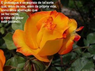 E prossegue e se espraia de tal sorte que, além de nós, além da própria vida, como ativa abstração que  se faz carne, a idéia de gozar  está gozando.  