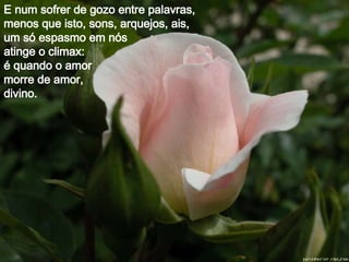 E num sofrer de gozo entre palavras, menos que isto, sons, arquejos, ais, um só espasmo em nós  atinge o climax: é quando o amor  morre de amor,  divino.   