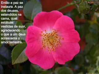 Então a paz se instaura. A paz dos deuses, estendidos na cama, qual estátuas vestidas de suor, agradecendo o que a um deus acrescenta o amor terrestre.   