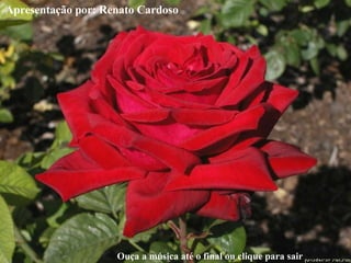 Apresentação por: Renato Cardoso Ouça a música até o final ou clique para sair 