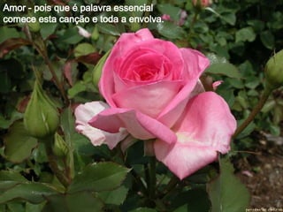 Amor - pois que é palavra essencial  comece esta canção e toda a envolva. 