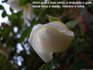 Amor guie o meu verso, e enquanto o guia, reúna alma e desejo, membro e vulva. 