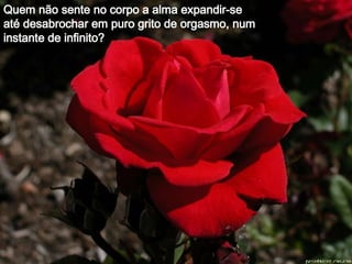 Quem não sente no corpo a alma expandir-se até desabrochar em puro grito de orgasmo, num  instante de infinito?  