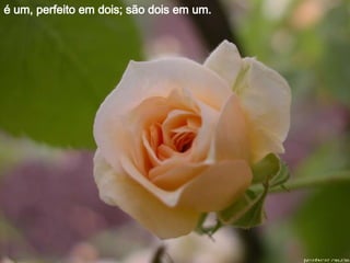 é um, perfeito em dois; são dois em um.  