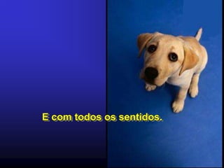 E com todos os sentidos.
 