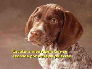 Escutar a mensagem que se
esconde por entre as palavras
 